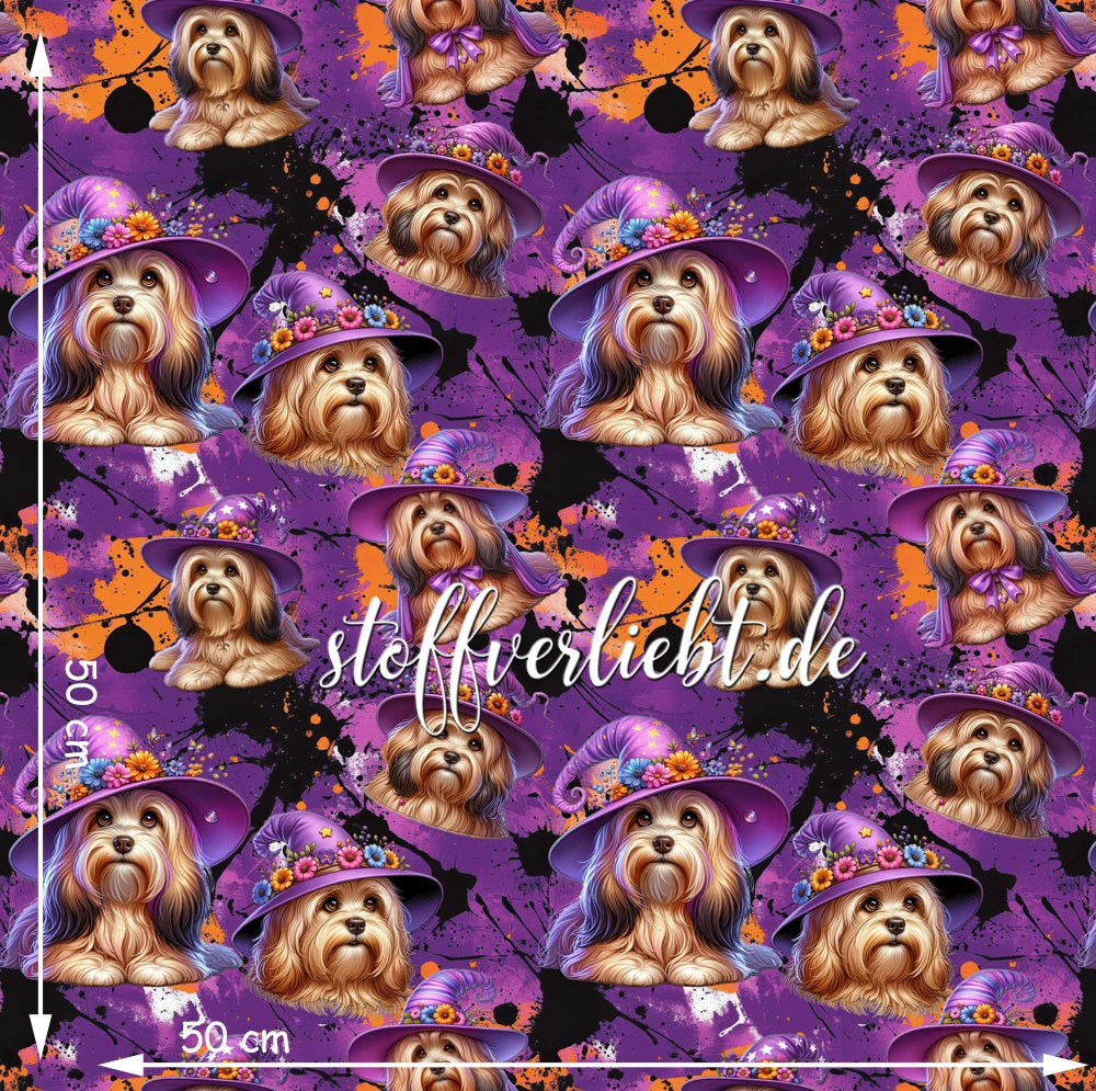Canvas-Stoff mit Halloween-Motiv: Havaneser in Hexenhüten auf violett-orangefarbenem Hintergrund mit schwarzen Sprenkeln - stoffverliebt.de
