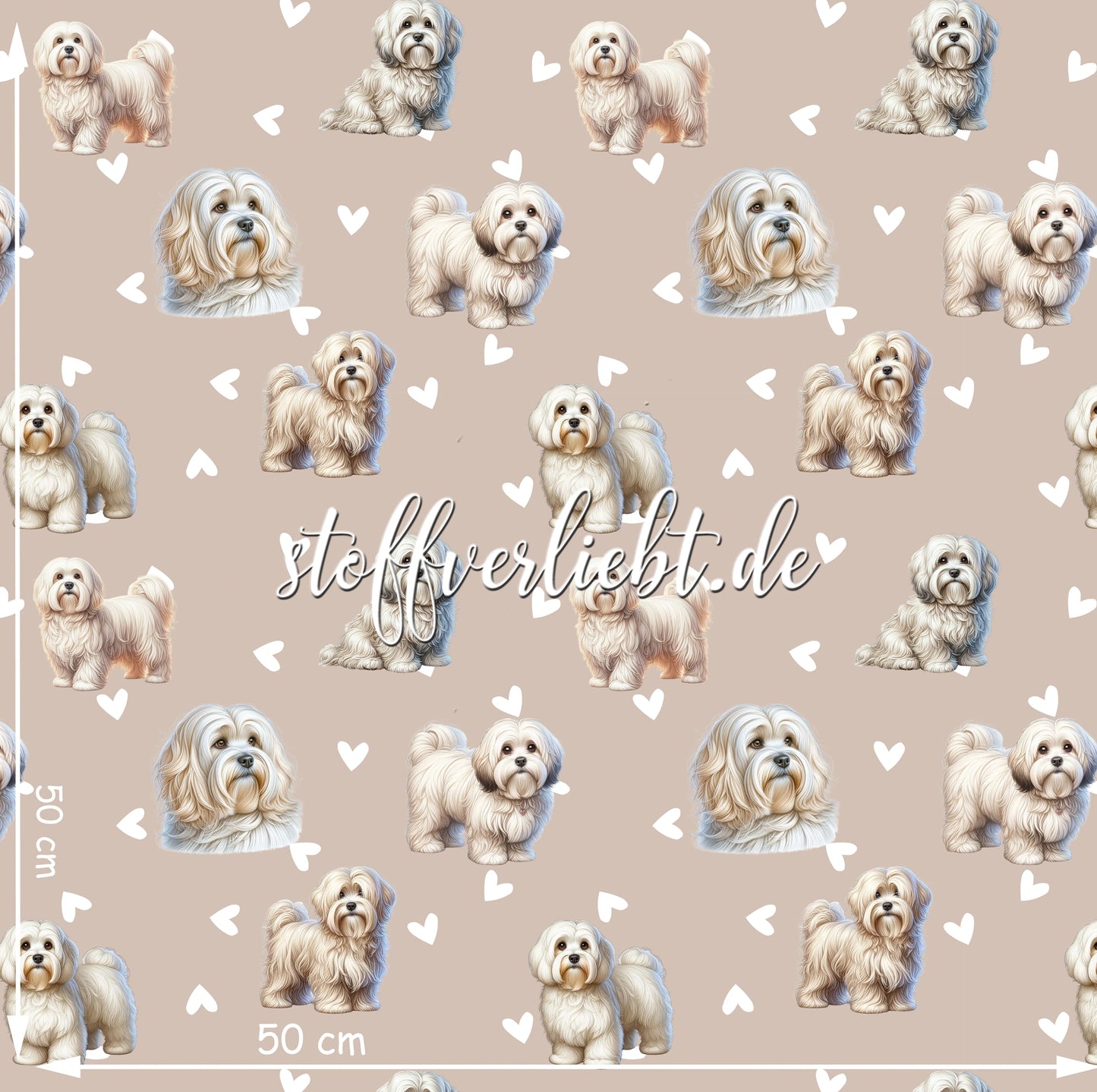 French Terry Stoff in Beige mit Havaneser-Motiven und weißen Herzchen – Designansicht mit Maßangabe 50×50 cm von stoffverliebt.de