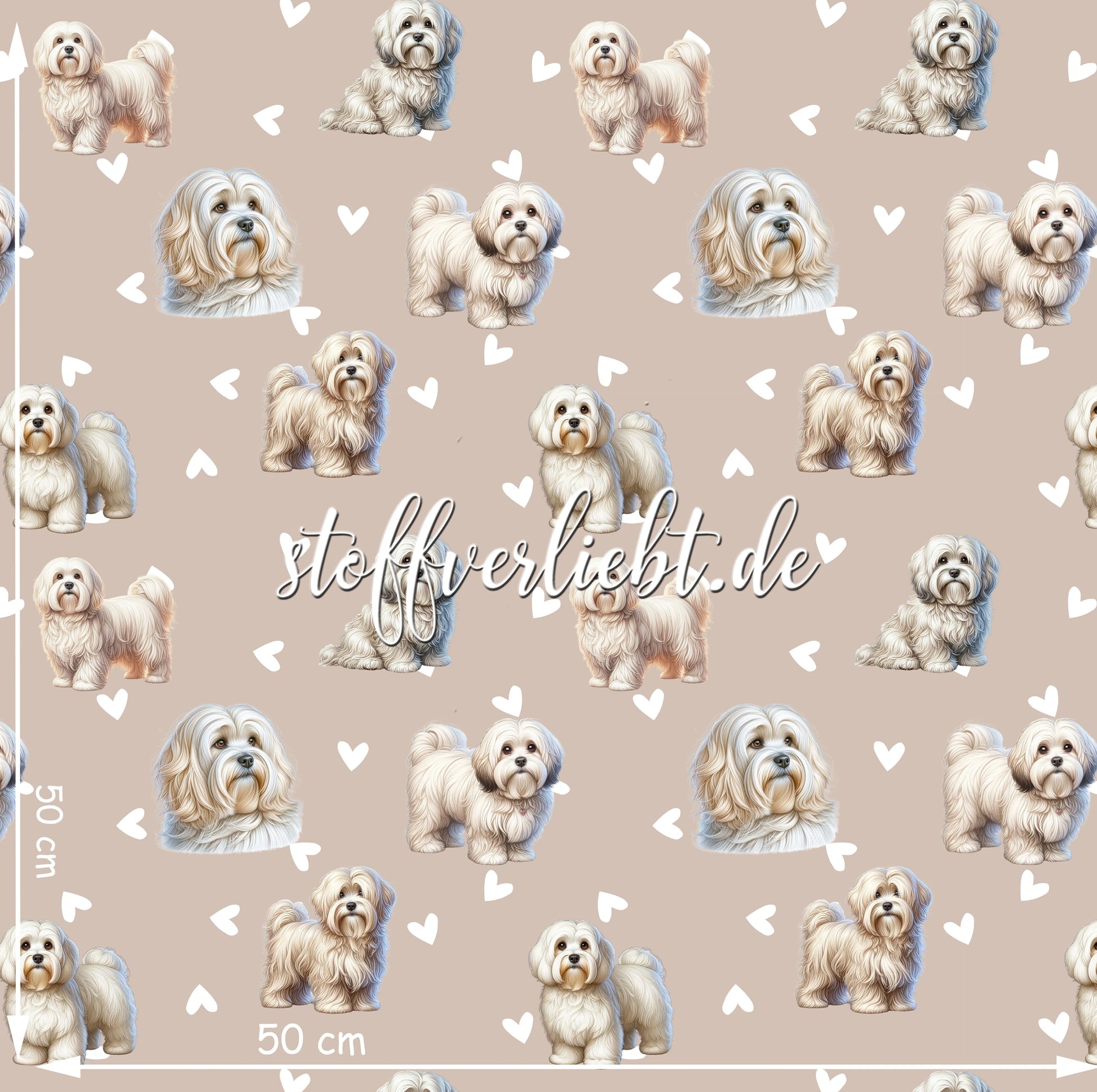 French Terry Stoff in Beige mit Havaneser-Motiven und weißen Herzchen – Designansicht mit Maßangabe 50×50 cm von stoffverliebt.de