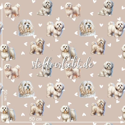 French Terry Stoff in Beige mit Havaneser-Motiven und weißen Herzchen – Designansicht mit Maßangabe 50×50 cm von stoffverliebt.de