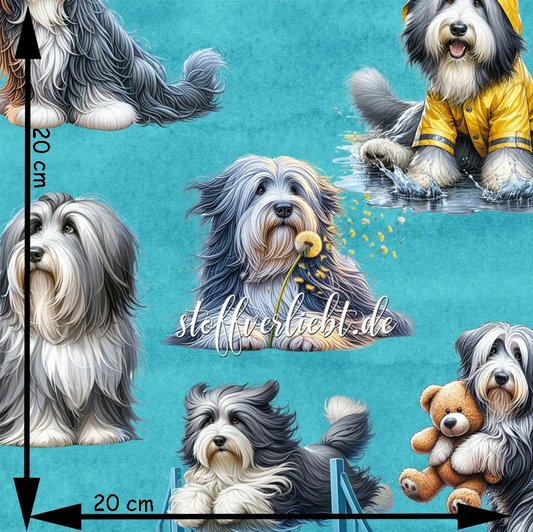 French Terry mit Bearded Collies auf aquablauem Hintergrund – Szenen mit Teddybär, Löwenzahn und Gummistiefeln