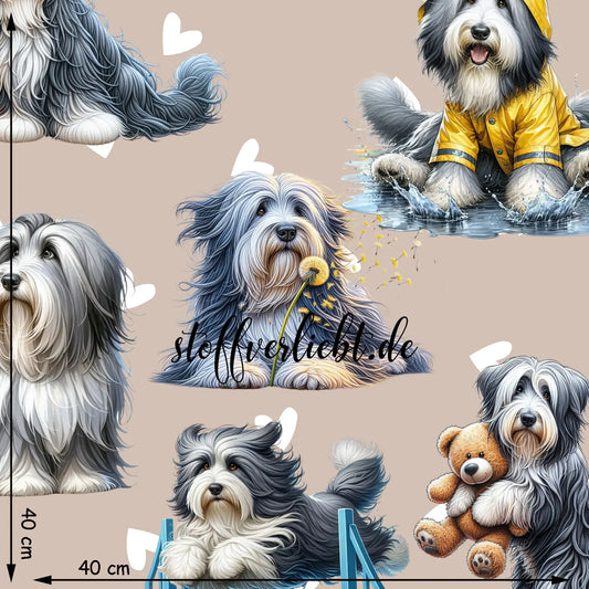French Terry Stoff mit großen Bearded Collies (Beardies) auf beigefarbenem Hintergrund – detailreiche Hundemotive mit Teddybär, Pusteblume, Regenjacke und Herzen